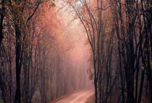 爱游戏：每体：巴萨与孔德基本达成协议，双方将合同延续至2030年.