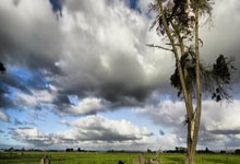 爱游戏：费兰-托雷斯：很高兴教练信任我，上场时我会尽我所能.